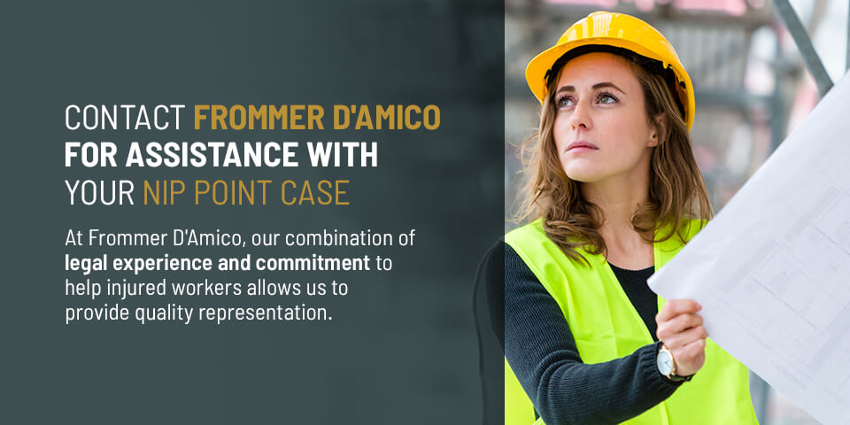 Contact Frommer D'Amico for Assistance With Your Nip Point Case